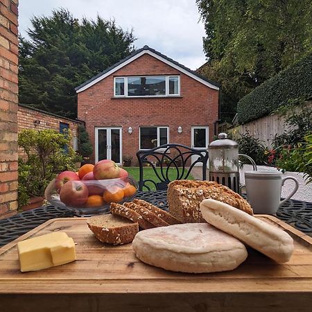 Bt 9 Granny Flat & Walled Garden Belfast Eksteriør bilde