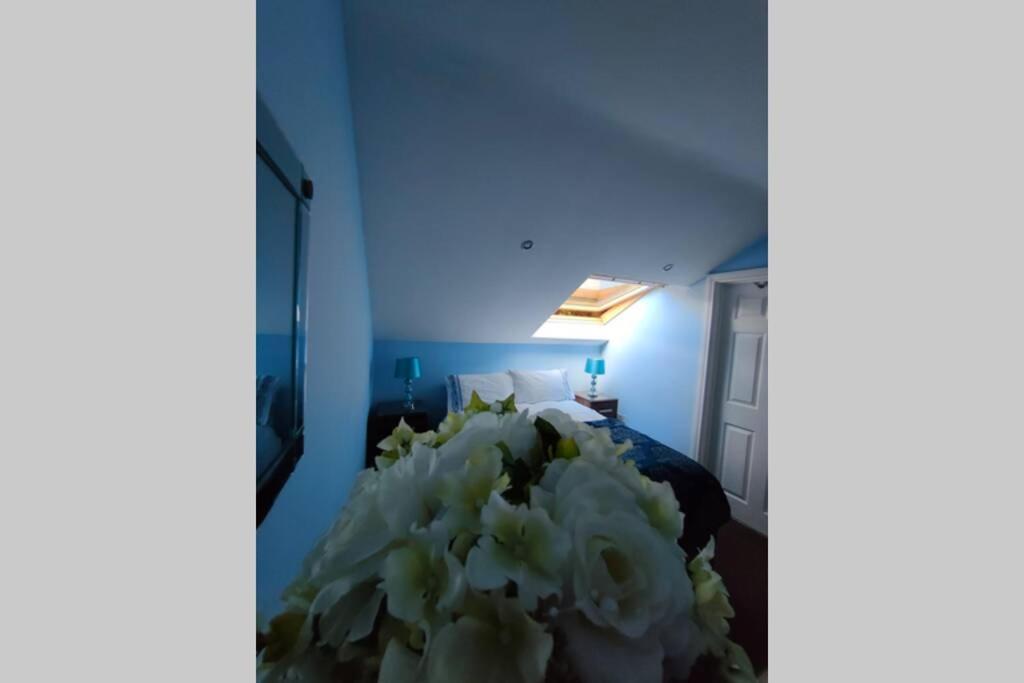 Bt 9 Granny Flat & Walled Garden Belfast Eksteriør bilde